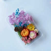 Цветы цветов → сухие цветы