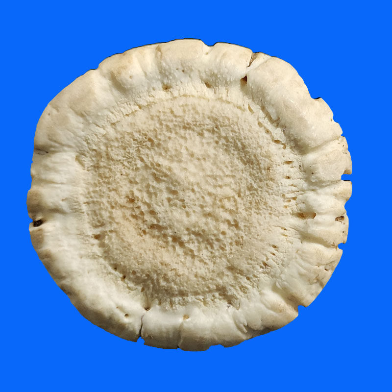 Jilin Mei Flower Horn Powder Breast Tracking Deer Disc Deer Breast Pasteuring