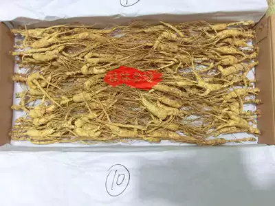 Changbai Mountain Ginseng, Northeast Forest, Old Ginseng