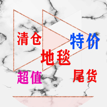 Special Price Foreign Trade Spot Nordic Modern Living Room Carpet Can Machine Wash Bedroom Tea Table Sofa Rug Carpet Clear Barn Goods