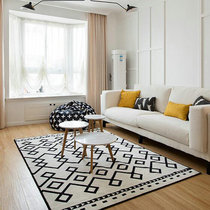 Brief Modern Carpet Living Room Art Van Nordic Mediterranean Customs Black And White Bedroom Home Wash Carpet