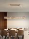 Restaurant Chandelier Modern Simple Creative Stylish Scandinavian Led Long Dining Table Bar Dining Room Accessible Luxury Lamp