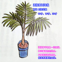 Wine bottle coconut tree poster Yellow double hibiscus flower Zero limit cleaning tool to clean up money problems Photo paper