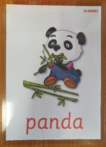 Cambridge childrens English word big card flash card over plastic teacher teaching aid A5A4 Preparatory level 1 Level 2 Level 3 Level 4 Level 5 Level 5 Level 5 Level 5 Level 5 Level 5 Level 5 Level 5 Level 5 Level 5 Level 5 Level 5 Level 5 Level 5 Level 5