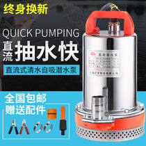 Shanghai peoples Liaoyu 12V24V48V60V stainless steel impeller DC submersible pump water pump Household agricultural