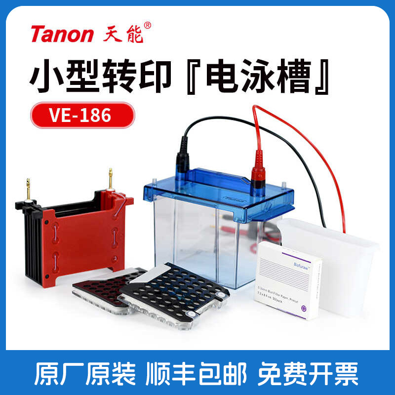 Tanon天能 VE-186 小型转印电泳槽 WB转移湿转2块胶转 蛋白转印槽