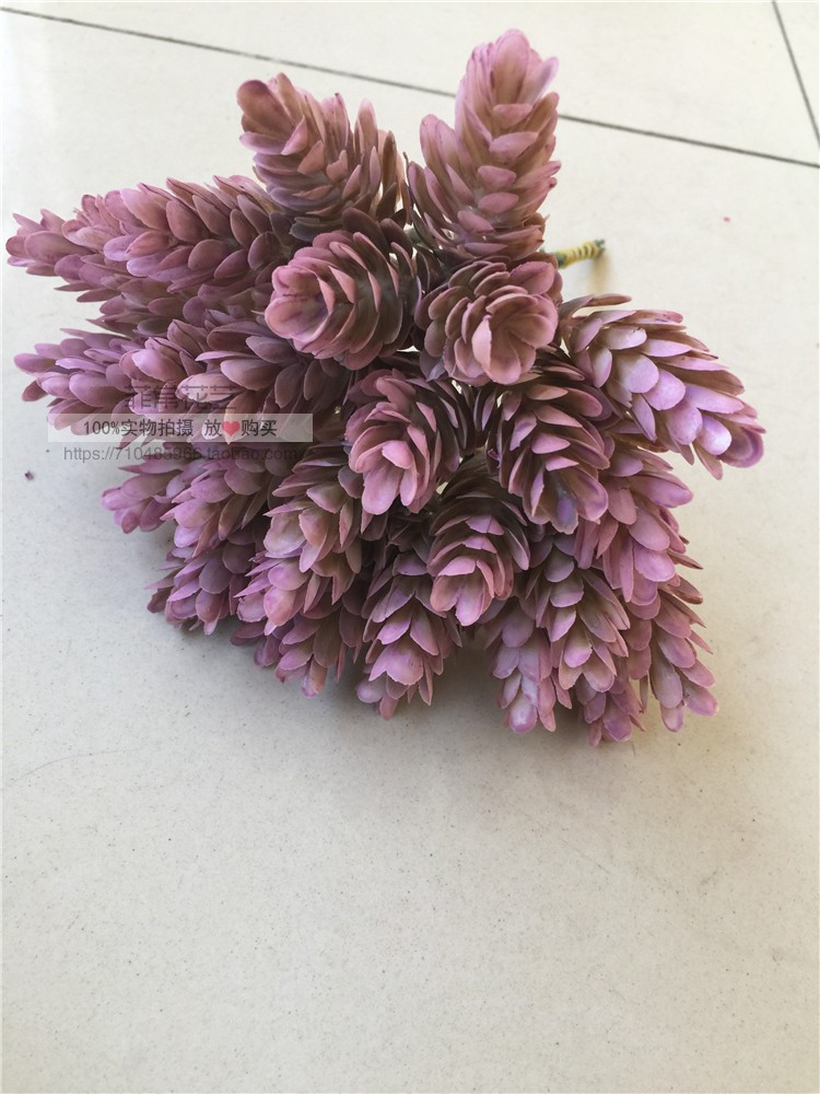 Mori girl handmade DIY chất liệu thịt nhân tạo hoa giả mũ phụ kiện tóc chụp hoa bia cỏ dứa - Hoa nhân tạo / Cây / Trái cây hoa giả đẹp