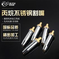 Split propane cutting nozzle G07 Set propane gas nozzle Stainless steel cutting nozzle 30 100 torch cutting nozzle