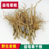 Wild motherwort root sun-dried head Chinese herbal medicine lochia conditioning small dysmenorrhea one pound pack