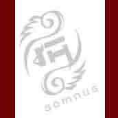 臻爱潮流男鞋的LOGO