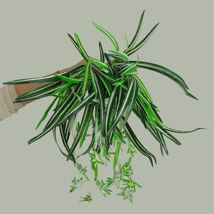 Artificial Plant Greenery Golden Edge Spider Plant Potted Hanging Basket Decoration Balcony Indoor Plastic Flowers Fake Flower Bonsai