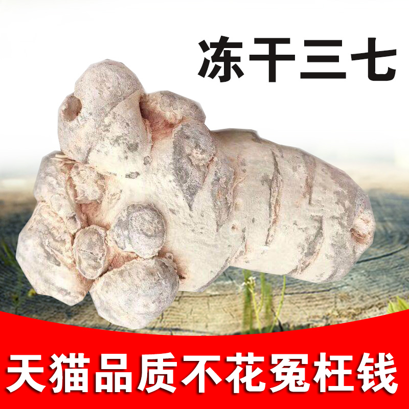 The efficacy of freeze-dried 37 powder Yunnan Wenshan special grade non wild spring 37 head field 7 can grind ultrafine 37 powder