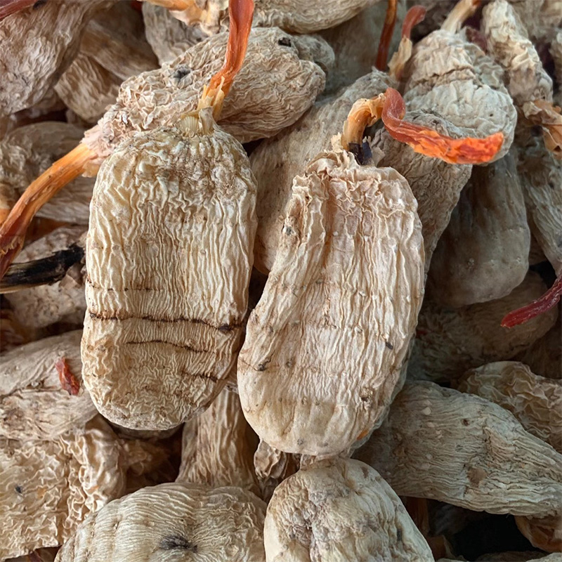Efficacy Chinese herbal medicine gastrodiae dry goods can be sliced in Yunnan Zhaotong small grass dam Gastrodia Elata Wild Special Grade Spring Hemp