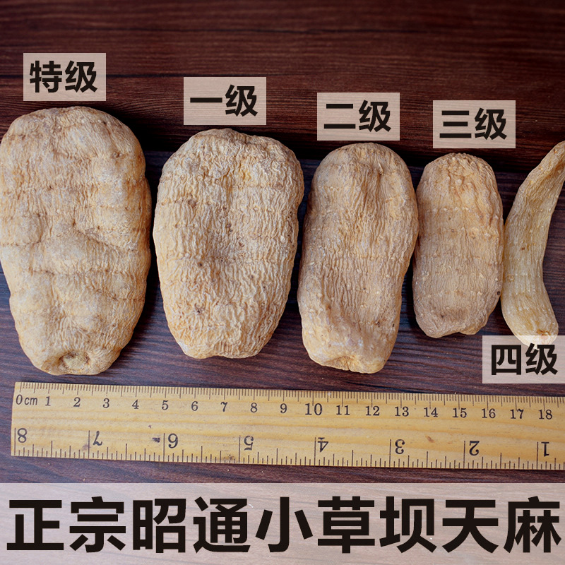 Tianma imitation wild premium Yunnan Zhaotong Xiaocaoba 500g Wu Tianma dry goods on behalf of grinding Tianma powder Tianma tablets