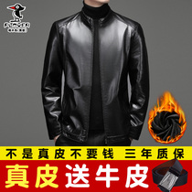 Woodpecker Middle-aged mens leather collar plus velvet slim leather jacket Haining leather jacket short sheepskin winter