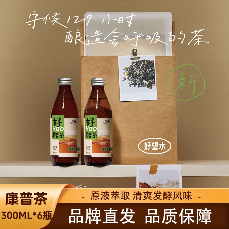 Hao Wang Shui Kombucha with Honey and Orchid Aroma, Dancong Oolong Tea, Tea Flavor and Fruit Aroma Beverage, Sparkling Drink with Clean Ingredients