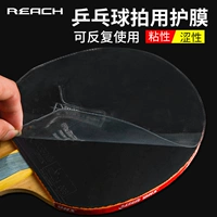 Reach Ракетка настольного тенниса RACKET RACKET PRONTACTION PLANT PLANT