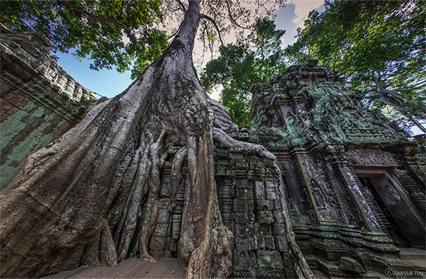 Sanyang 8mm F2.8II T3.1 Fisheye SLR micro ống kính thủ công