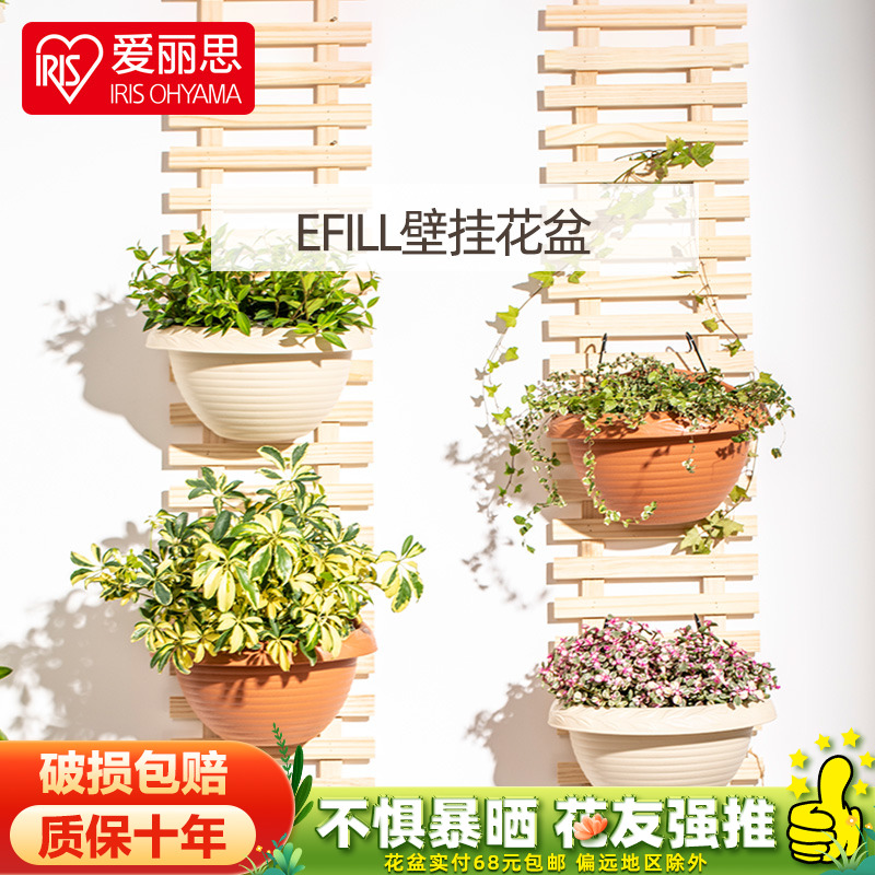 Alice Wall Hanging Resin Hanging Flower Basket Hanging Rose Green Ceiling Pot Alice Hanging Wall