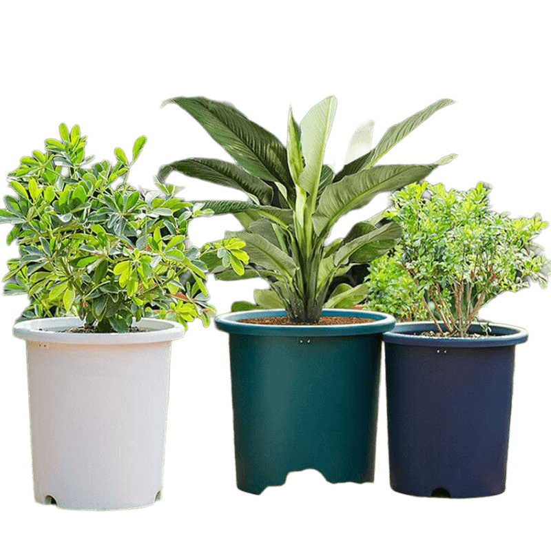 IRIS爱丽思大号Deepot加仑花盆适用月季龟背竹的简约树脂盆