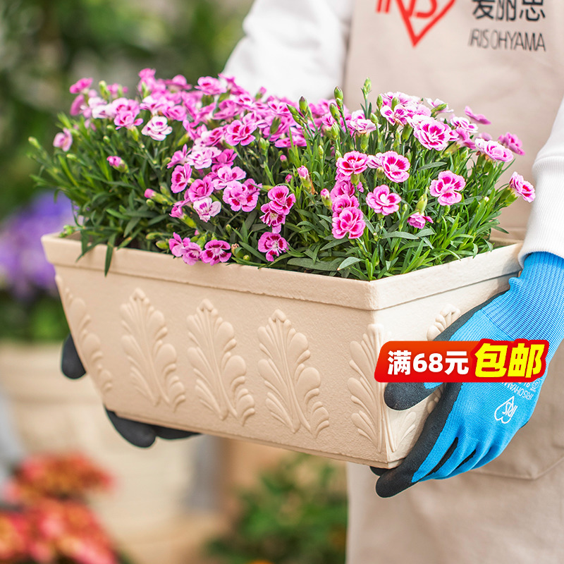 IRIS thickened relief rectangular flower pot personality convex plastic pot balcony grow Alice
