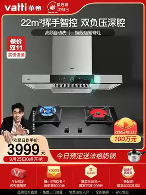 Vantage i11144 i10049B range hood smoke machine gas stove set smoke stove package combination