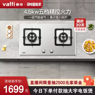 Vantage Gas Furnace Embedded Household i10042A Stainless Steel Large Fire Gas LPG Gas Furnace