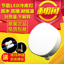 Precision LED cold storage lamp special lamp 10 15W high-brightness waterproof moisture-proof and low-temperature lighting emergency lamp