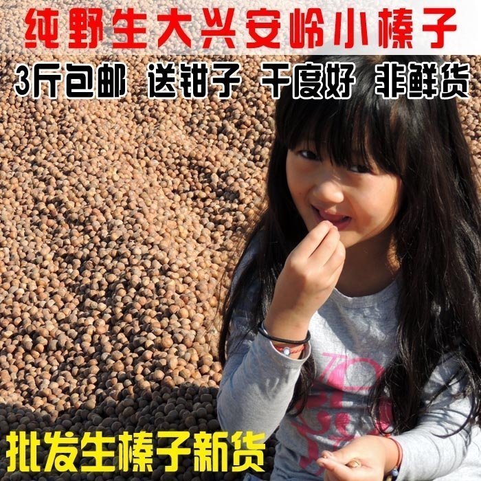 New northeast wild hazelnut raw hazelnut raw dried fruit nut 500g to send pliers