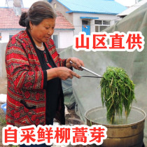 2021 Inner Mongolia Wild Artemisia buds 500g fresh mountain wild vegetables also have dried vegetables better than Pentin