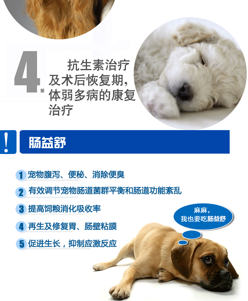 Chó hôi miệng điều hòa đường tiêu hóa chó mèo táo bón thú cưng chó con men vi sinh sản phẩm chăm sóc sức khỏe ruột Yishu Sữa dành cho mèo con mới đẻ