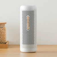 Delma Mini Dehumidifier