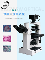 Inverted biological microscope 37XB Biommedical science experiments can be placed to cultivate petri cell bacterial research