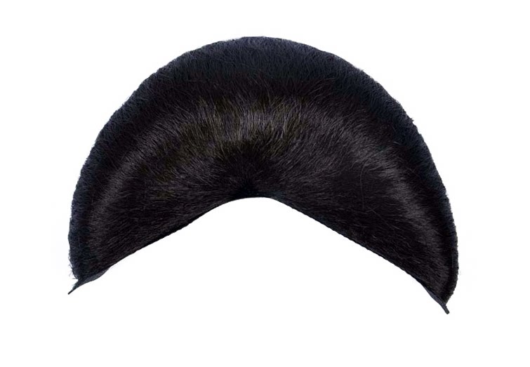 Extension cheveux - Chignon - Ref 249182 Image 5