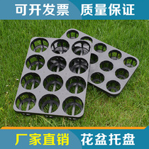 Round two-color flowerpot nutrition cup matching tray Phalaenopsis tray flowerpot bracket 12 holes 15 holes plug tray