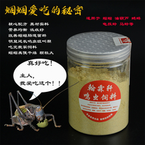 Grasshopper feed grasshopper oil gourd food Cricket Telegram ling living ming chong feed