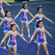 Customized cheerleading competition uniforms cheerleading costumes cheerleading costumes aerobics costumes 19 female men