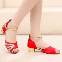 Красный феникс хвост 3.5 высокая банда