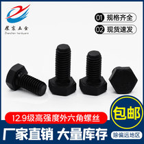 12 9 High-strength external hexagon bolts alloy steel screws external Hexagon screws extended external hexagonal machine screws M6M8