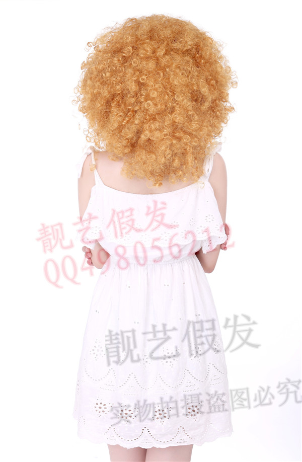 Perruque OTHER   Harsh pelucheux confirme - Ref 2610143 Image 7