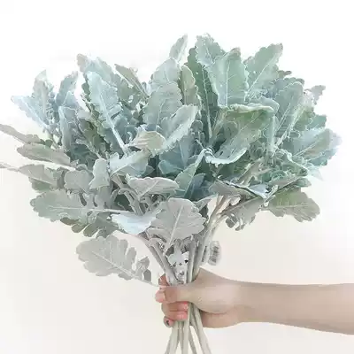 High-end large horn leaf silver leaf chrysanthemum with grass green plant flower arrangement matching material simulation bouquet fake flower interior decoration flower