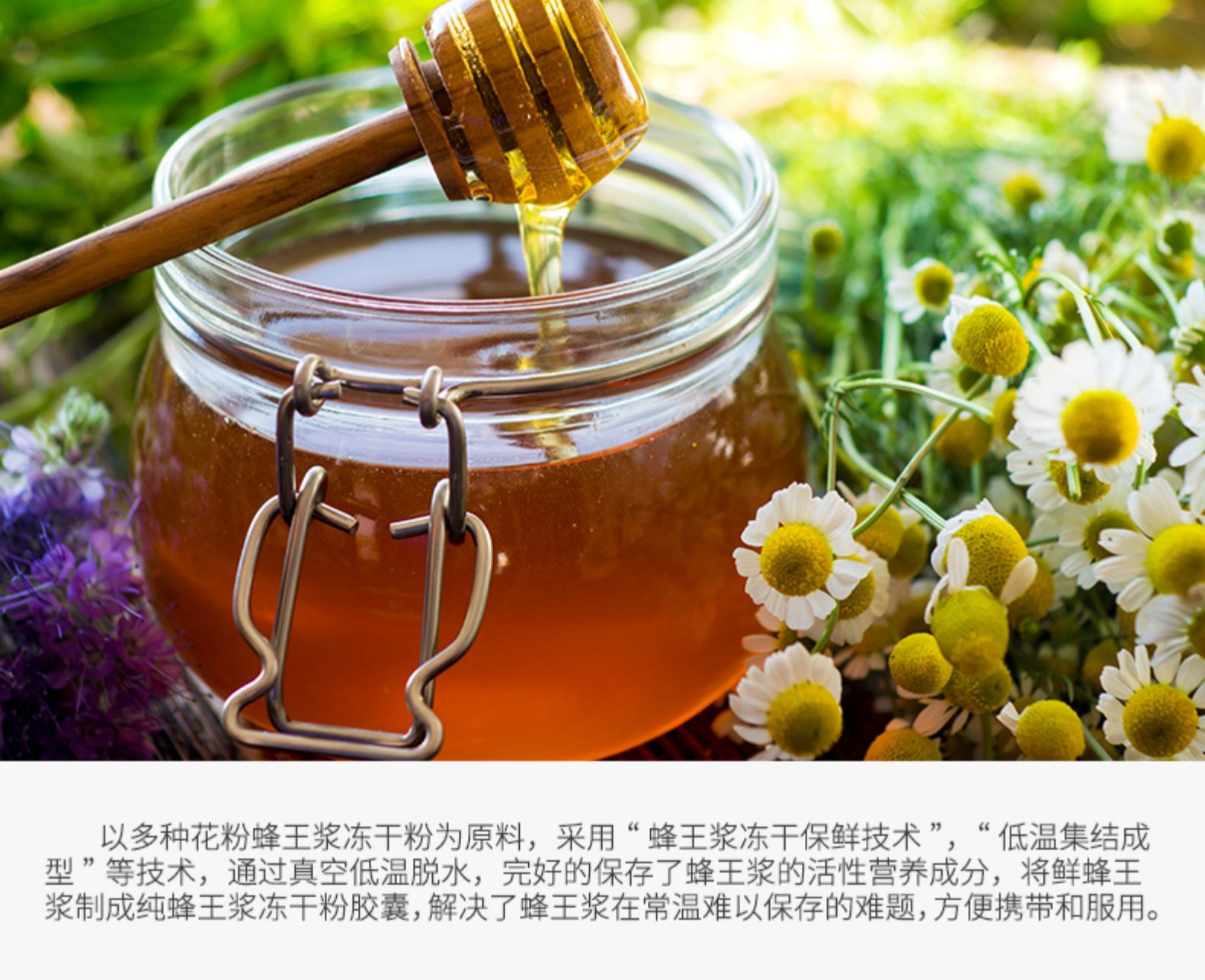 康恩贝冻干蜂王浆胶囊