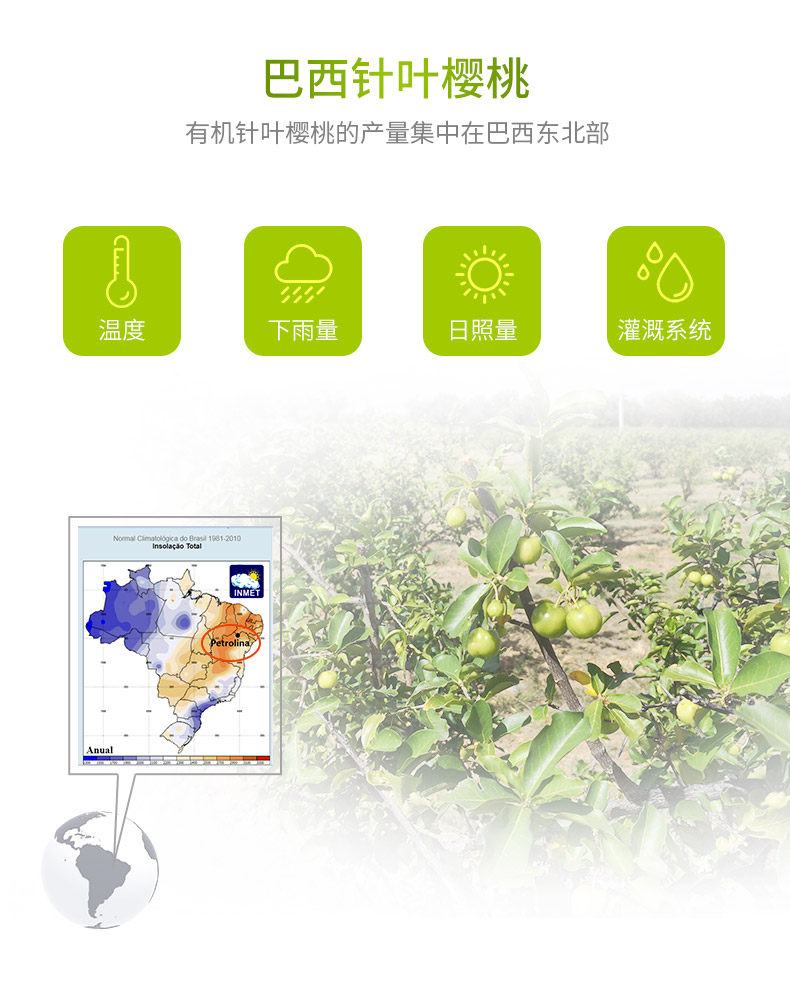 康恩贝儿童维生素C咀嚼片针叶樱桃