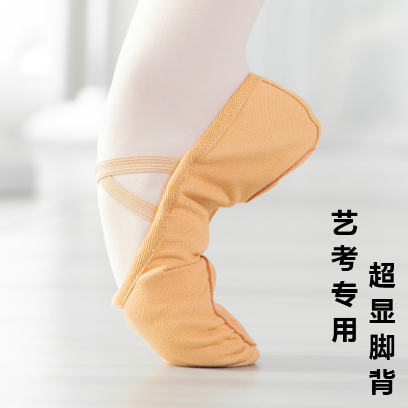 Camel dance shoes, women's soft-soled exercise shoes, adult art test first instep, children's ballet shoes, skill shoes for men