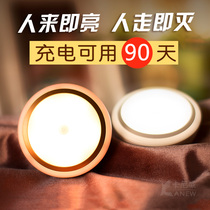 Human body induction bulb Rechargeable battery LED night light Household light control sound control Wardrobe ceiling aisle Corridor light