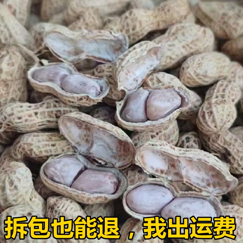 Guangxi Boiled Peanuts in Salt Water Are Chewy and Not Crispy Guangxi Boiled Peanuts in Salt Water Are Chewy and Not Crispy