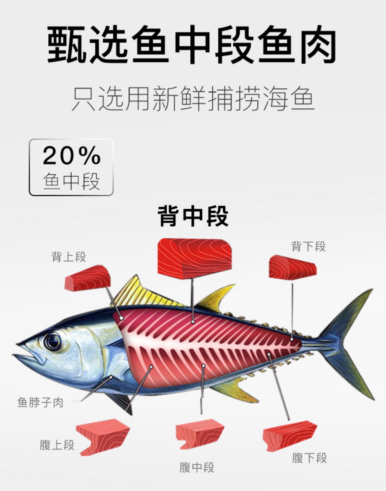 Fei Xiduo Caviar cá mèo đóng hộp 85g / lon Mèo ăn nhẹ thức ăn ướt thực phẩm chủ yếu đóng hộp cung cấp đặc biệt tăng đột biến - Đồ ăn nhẹ cho mèo thức ăn cho mèo minino