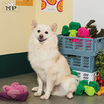 Memory Pet Korean pet cute expression plush broccoli purple cabbage hidden food toy