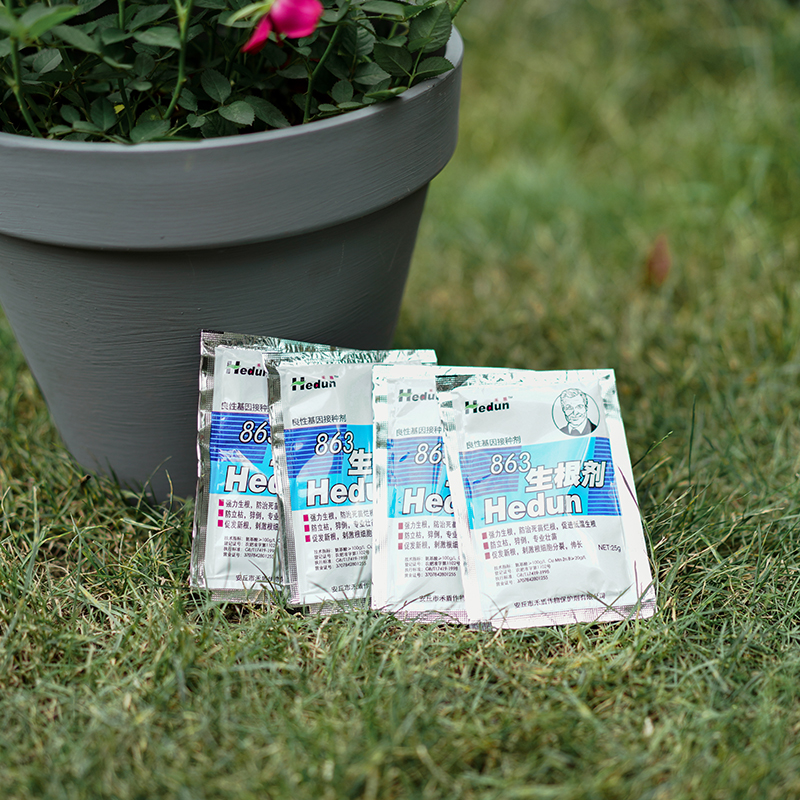 Fast Rooting Powder Cuttage With Plant Trees Fruit Trees Flowers And Flowers Seedlings Fueling Hair Roots Universal Feuds 50 Packs