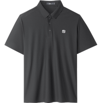 HLA Heilan Home Easy-care POLO shirt 24 spring and summer new style seamless heat-pressed elastic short-sleeved T-shirt for men